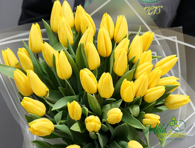 Bouquet of yellow tulips photo